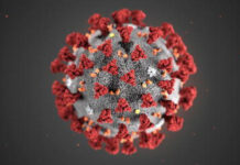 Coronavirus: ieri due morti in Puglia